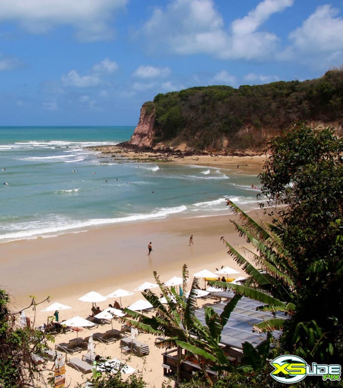 Surf Spécial Débutant