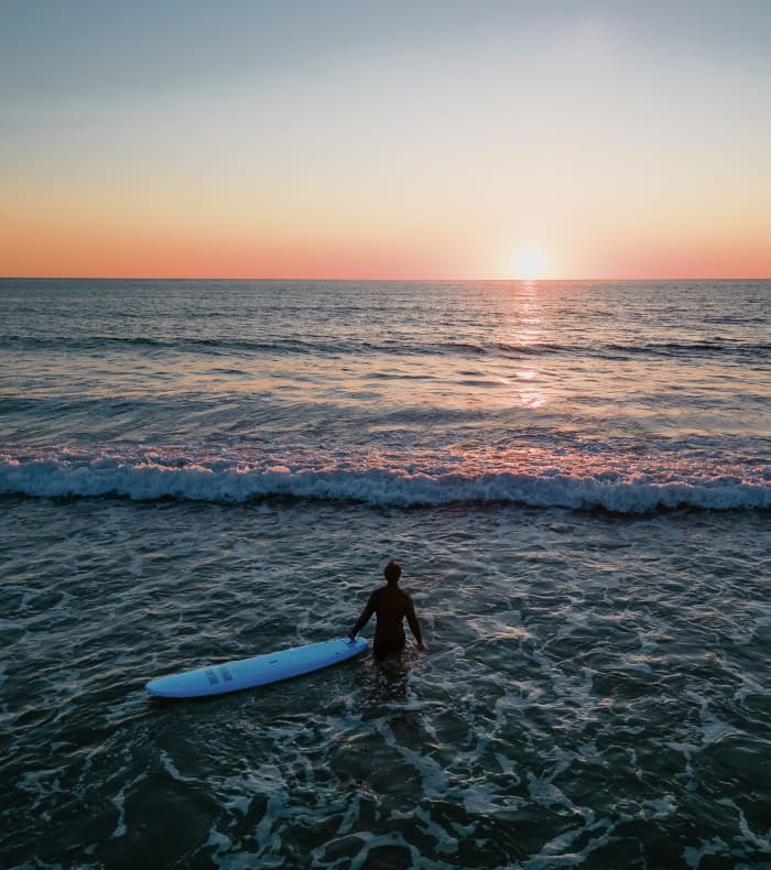 Surf Spécial Débutant