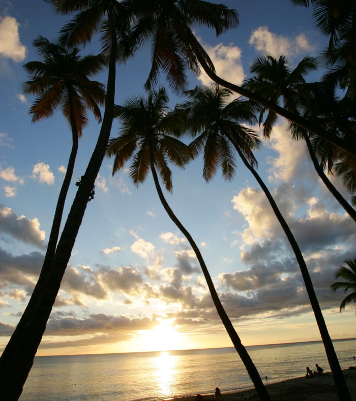 Surf Trip / Sport Mix Martinique 15 jours