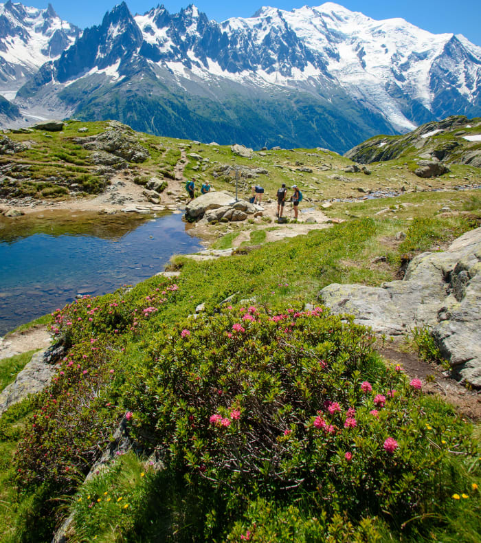 Tour des Aiguilles Rouges