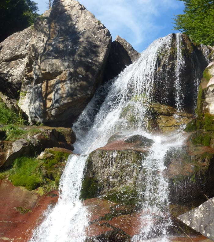 Trail débutant - Happy summer