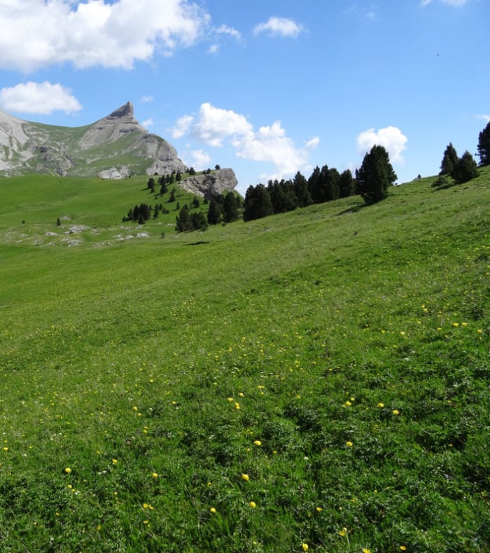 Trail et Yoga, Evasion nature dans le Vercors