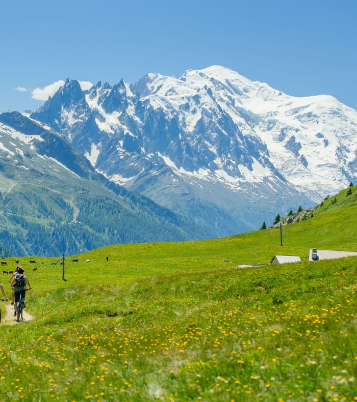 Trail spécial débutant & multisports - Happy Summer
