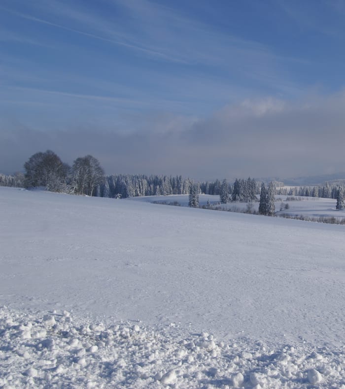 Trail sur la Haute Chaîne du Jura