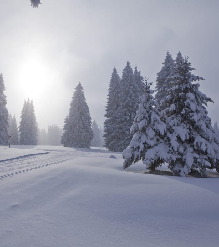 Trail sur la Haute Chaîne du Jura