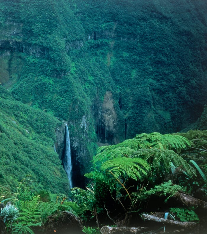 Trek à grand spectacle