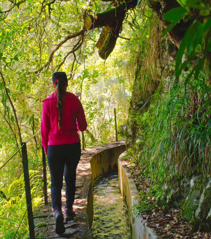Trek à Madère