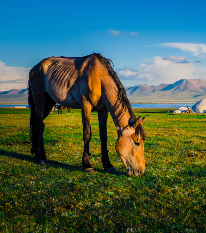 Trek en Asie centrale