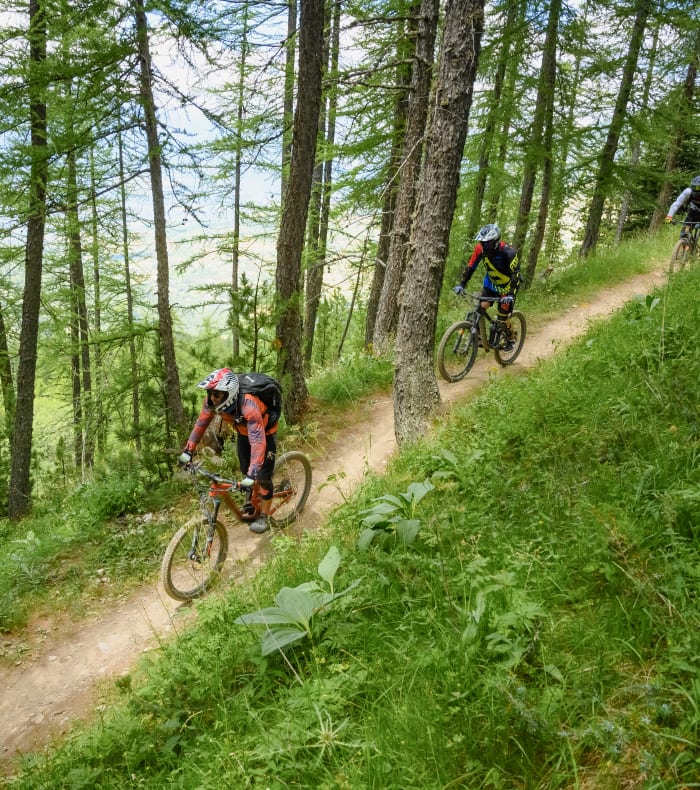 VTT Downhill forbedring