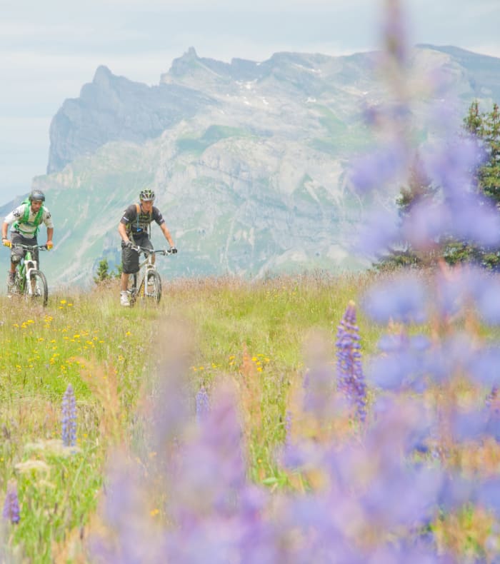 VTT Objectif Méditerranée