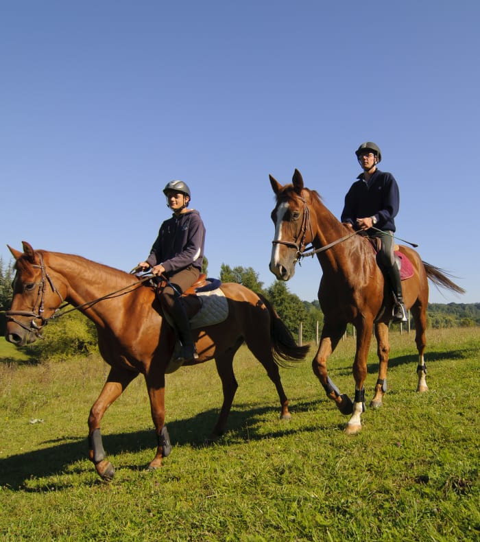 Week-End Equitation intermédiaire - Sans hébergement