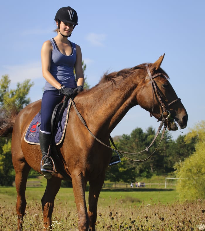Week-End Equitation intermédiaire - Sans hébergement