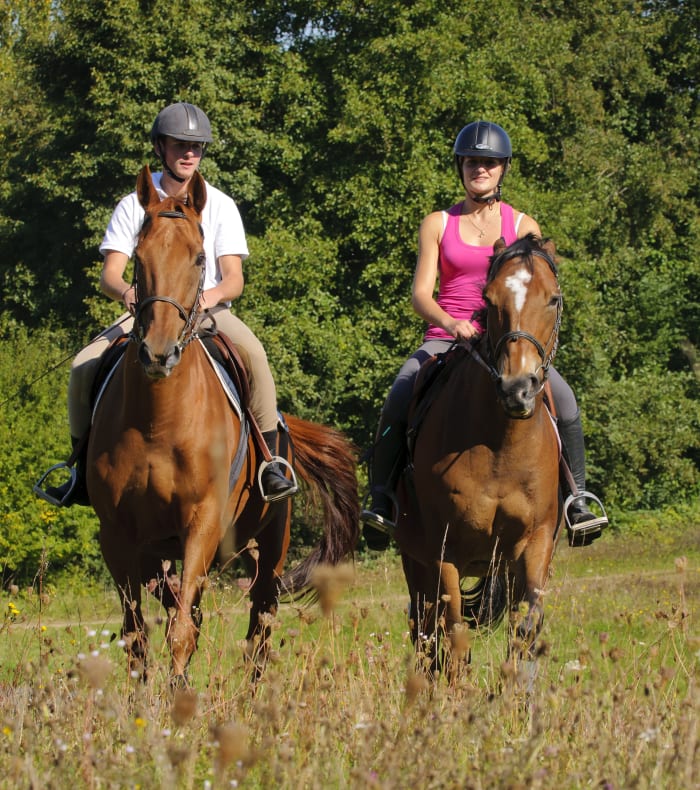 Ride weekend mellemniveau - Uden overnatning