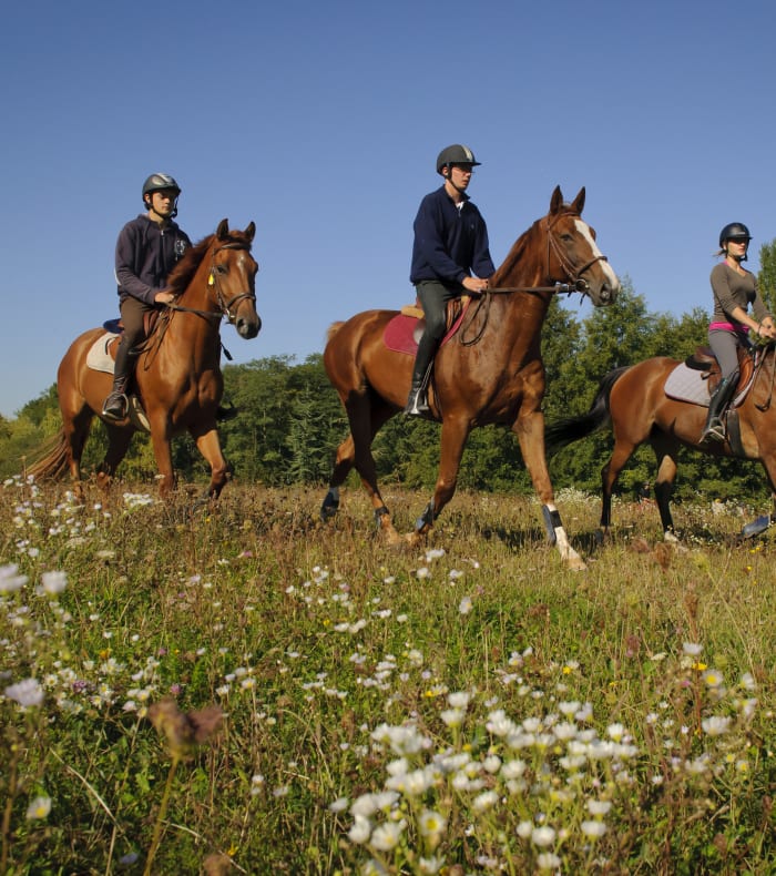 Weekend Ridning – øvet niveau