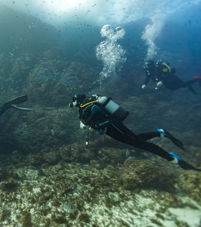 Week-end plongée exploration Parc des Calanques