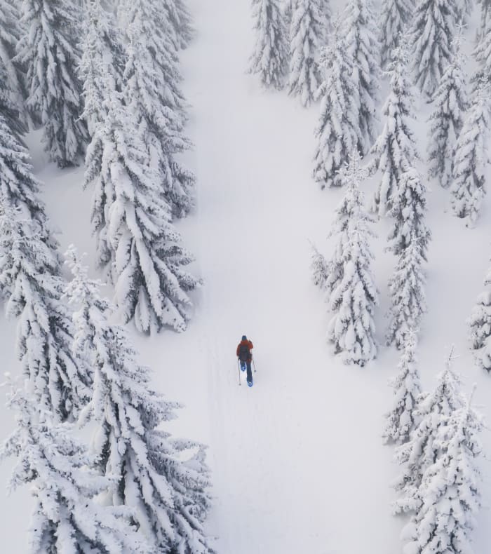Week-end raquettes et cabane dans le Jura