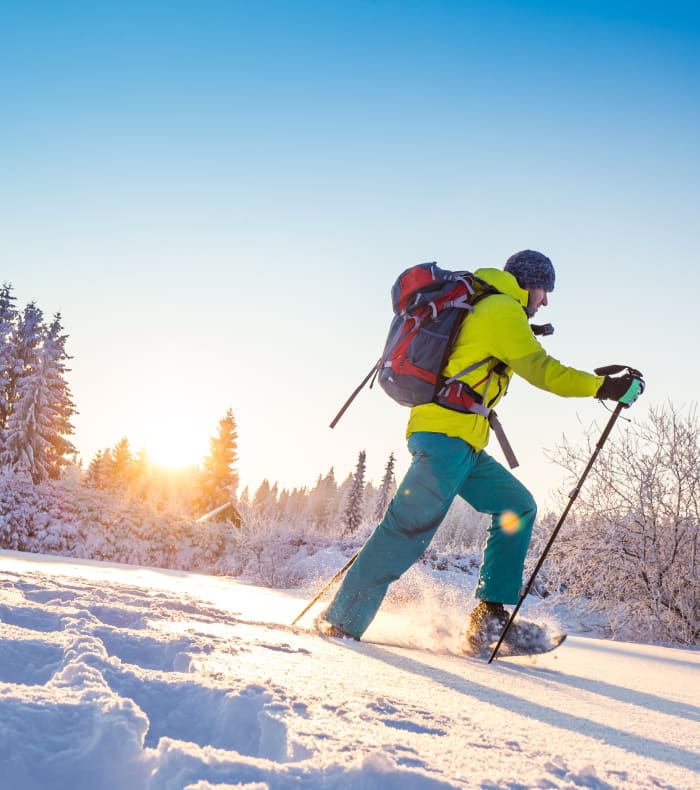 Sneskoventure og hytte-overnatning i Jura