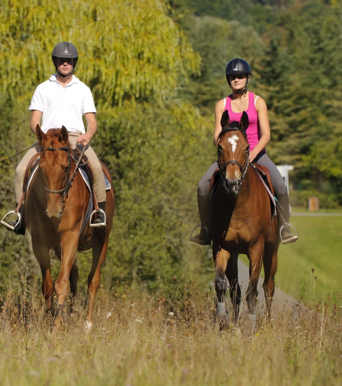 Weekend Équitation perfectionnement - Sans hébergement