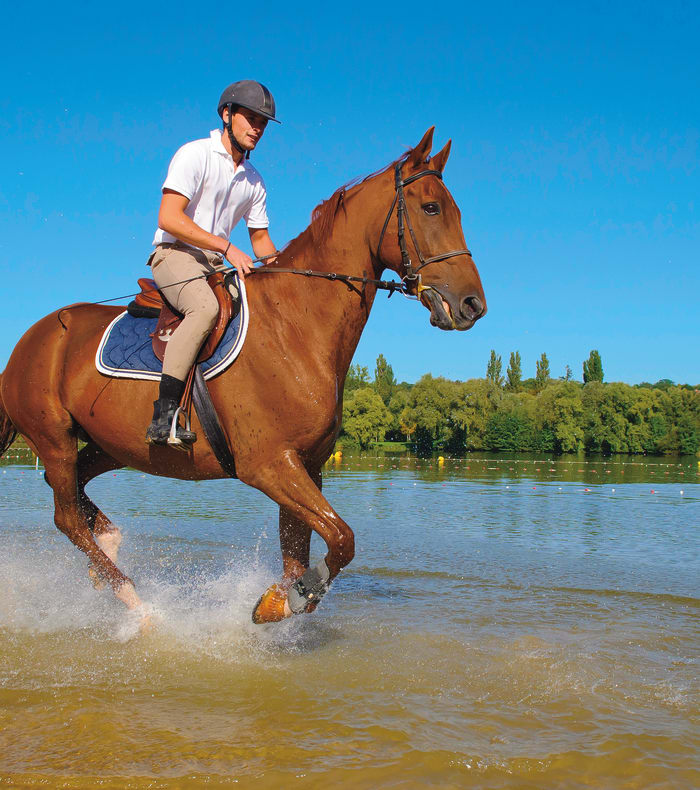 Weekend Ridesportsforbedring - Uden indkvartering