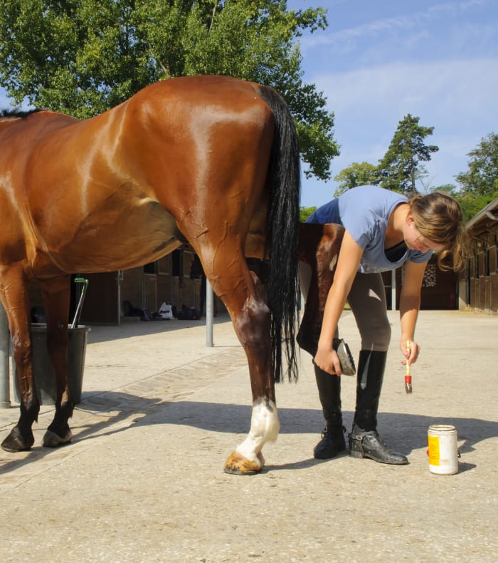 Weekend Équitation perfectionnement