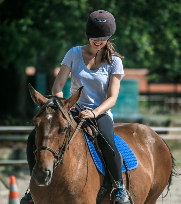 Weekend Équitation spécial débutant - Sans hébergement