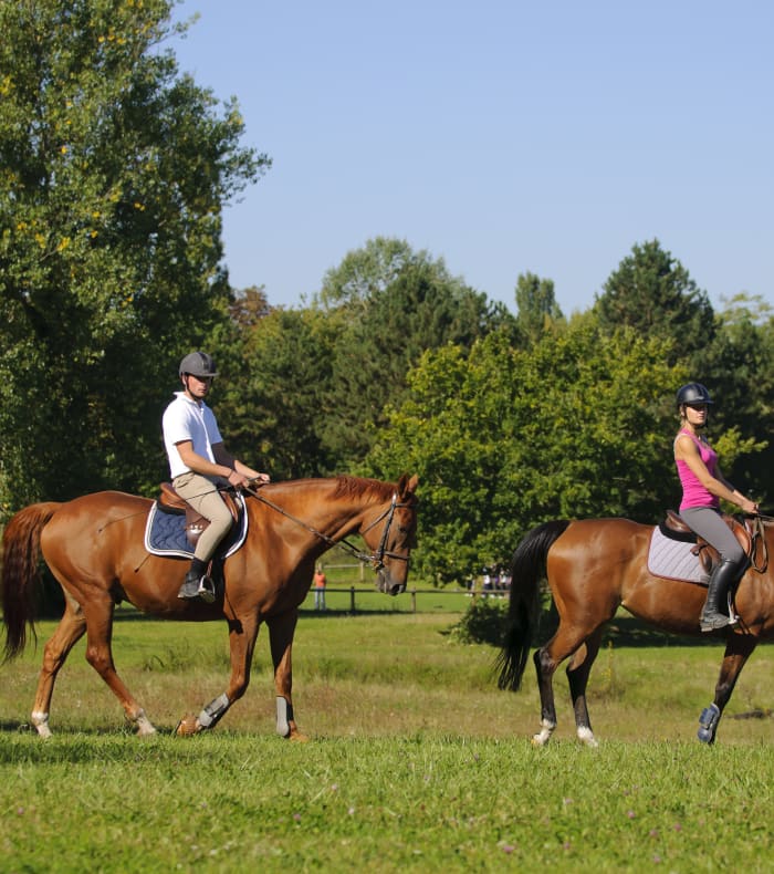 Rideferie weekend for begyndere