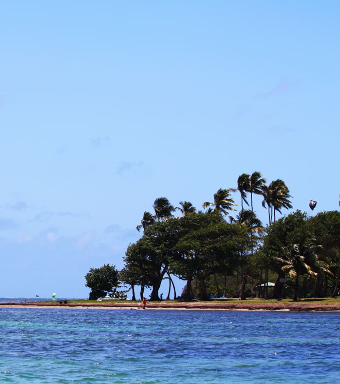 Windsurf & free session en 8 jours