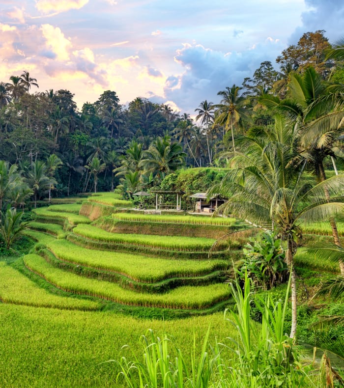 Yoga, Opdagelse & Velvære