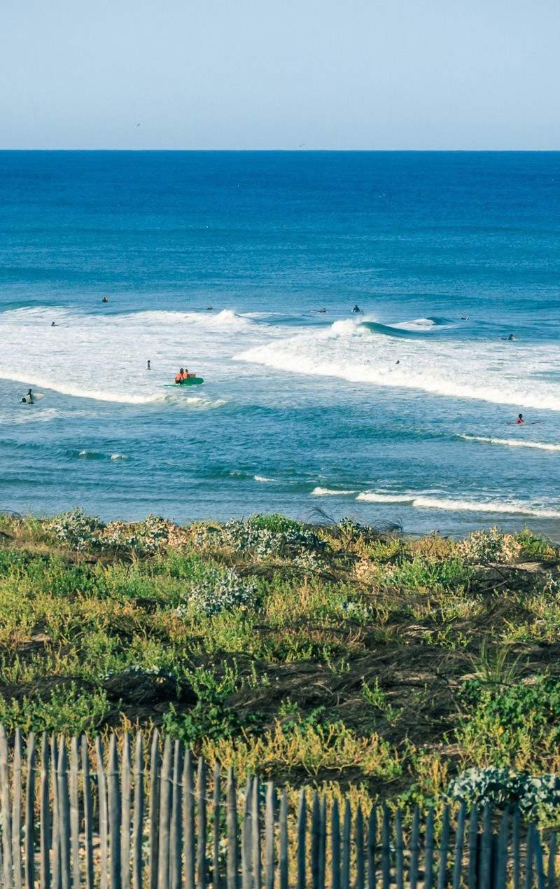 Lacanau - Surfens hovedstad i Sydvestfrankrig
