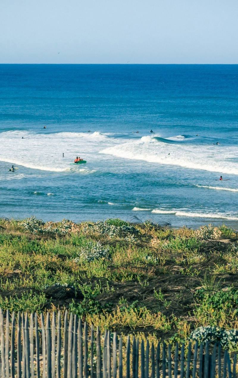 Lacanau - Surfens hovedstad i Sydvestfrankrig